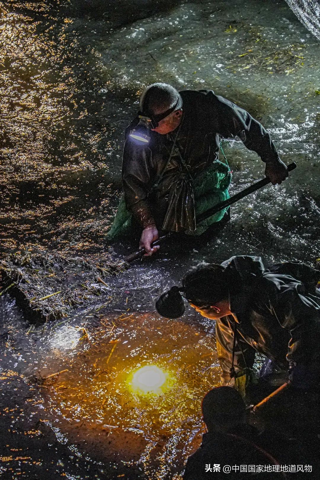 现在的海鲜什么比较好吃,中国哪的海鲜比较好