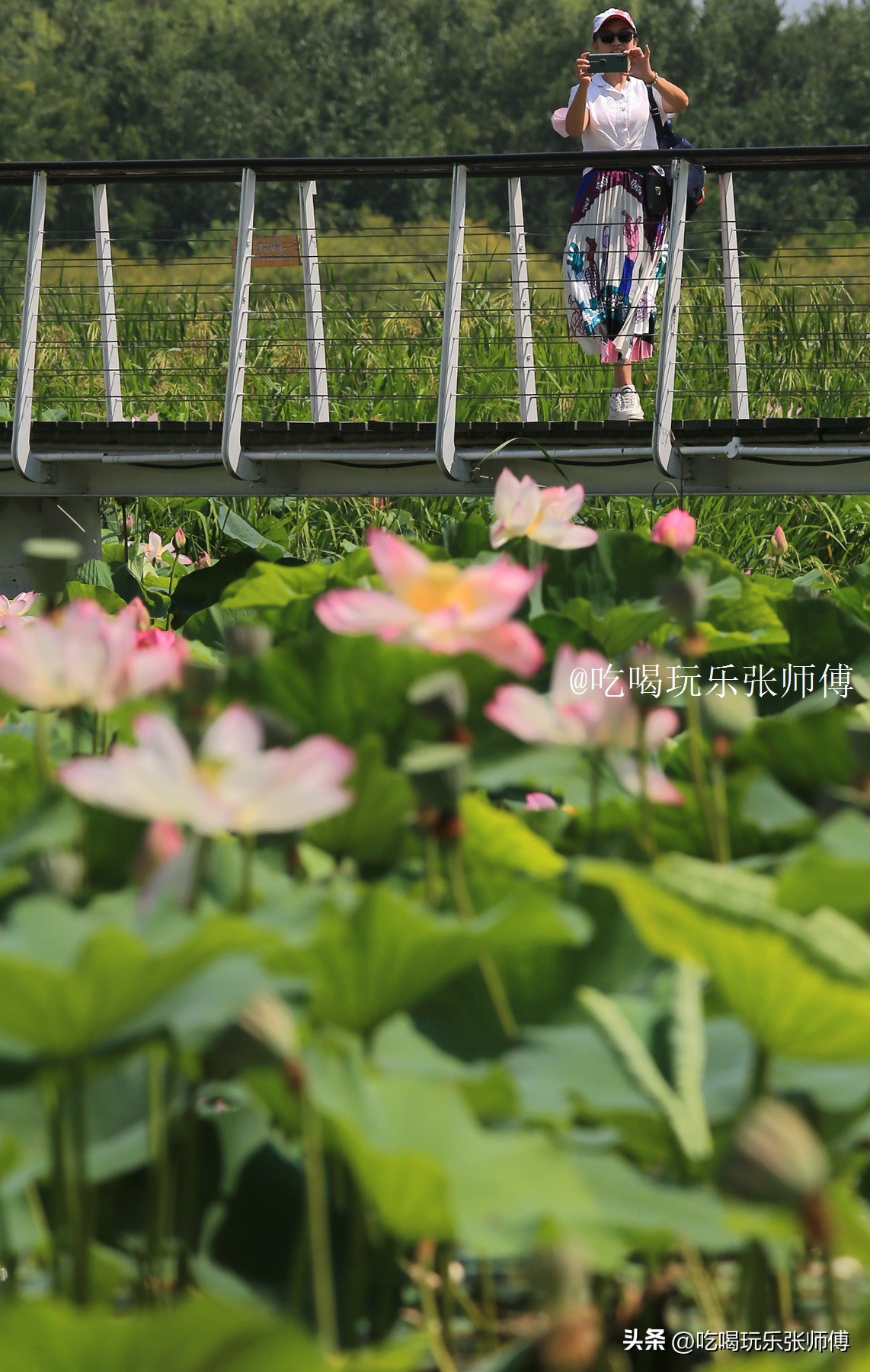 夜幕下哈尔滨大剧院高清大图,哈尔滨大剧院的冰雪与光影