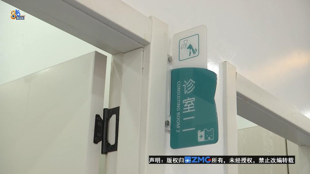 泰迪犬一旦出现这几个行为,泰迪犬能维持一个月吗