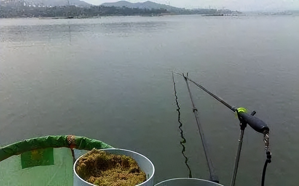 春季野钓口诀读懂不愁钓不到鱼,春季作钓方式有哪几种