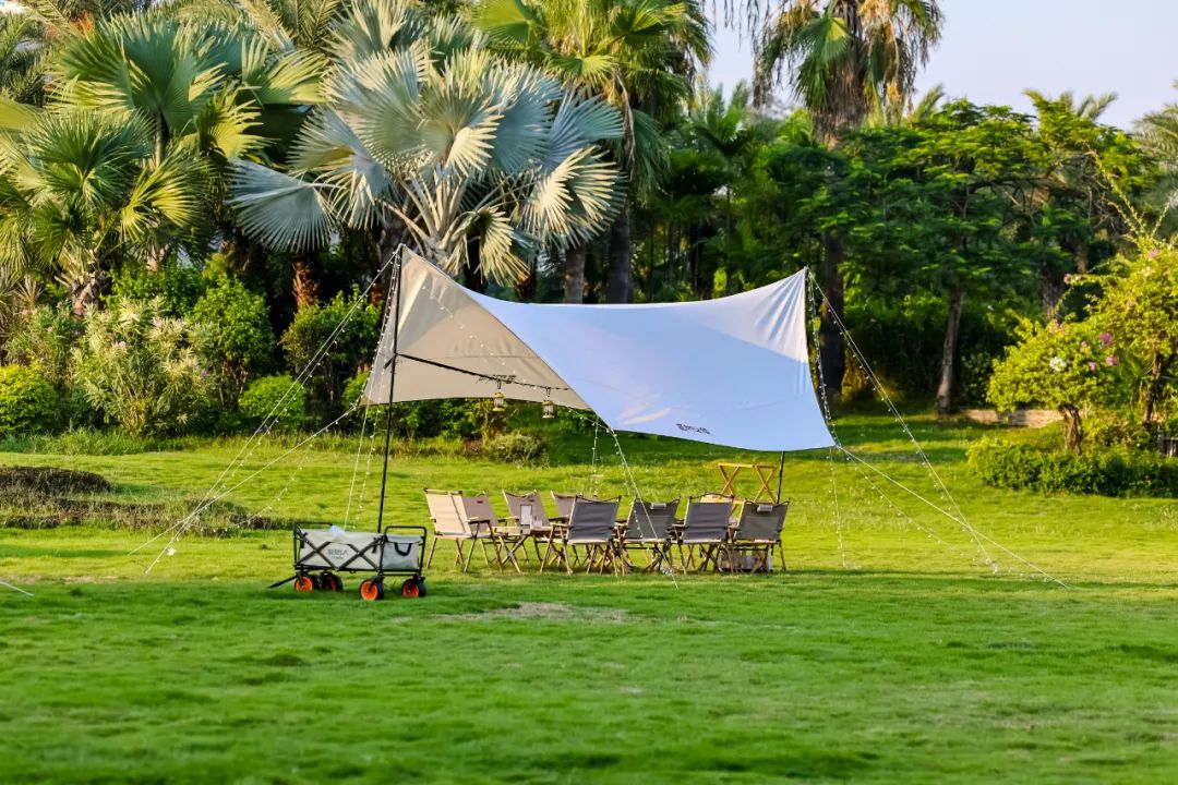 来有海风的地方！下午茶免费→