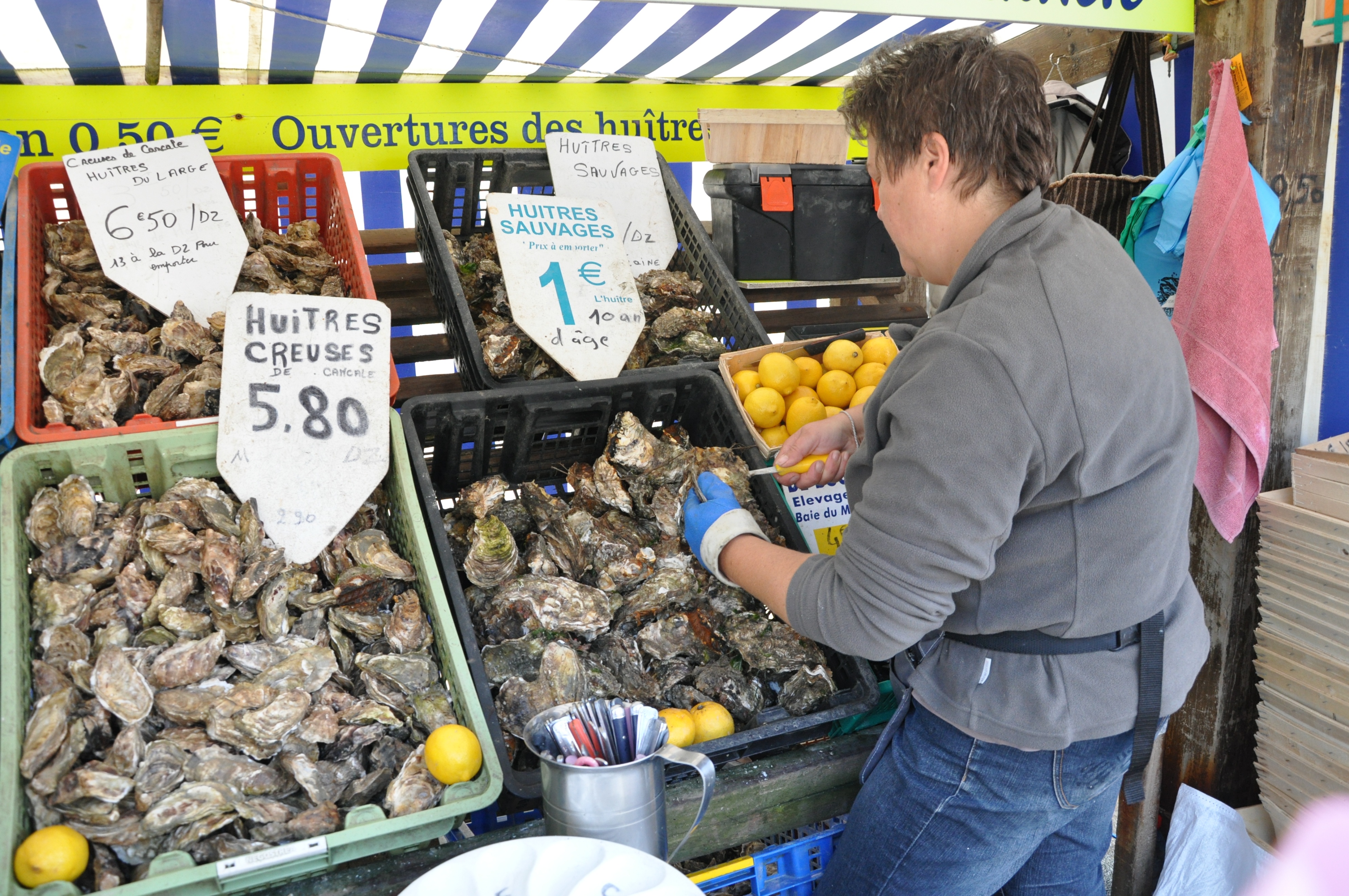 生蚝之都康卡勒：凯撒大帝太阳王拿破仑三世青睐，美味流传两千年