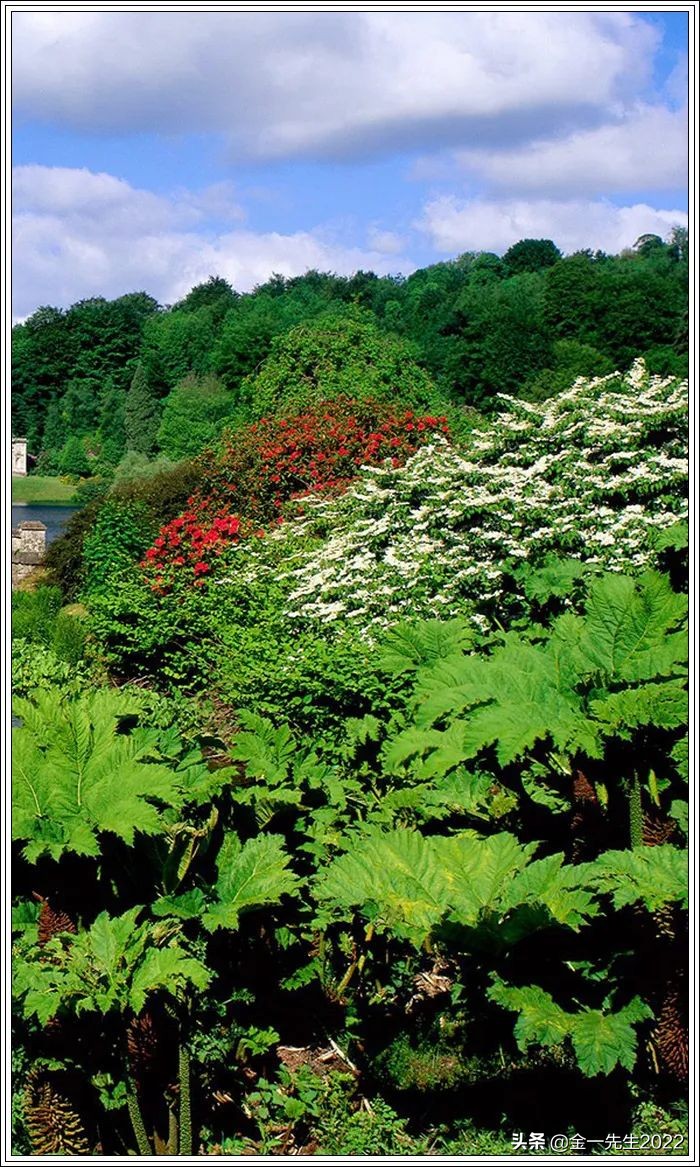 金融租赁跟融资租赁的区别,融资租赁和金融租赁的区别