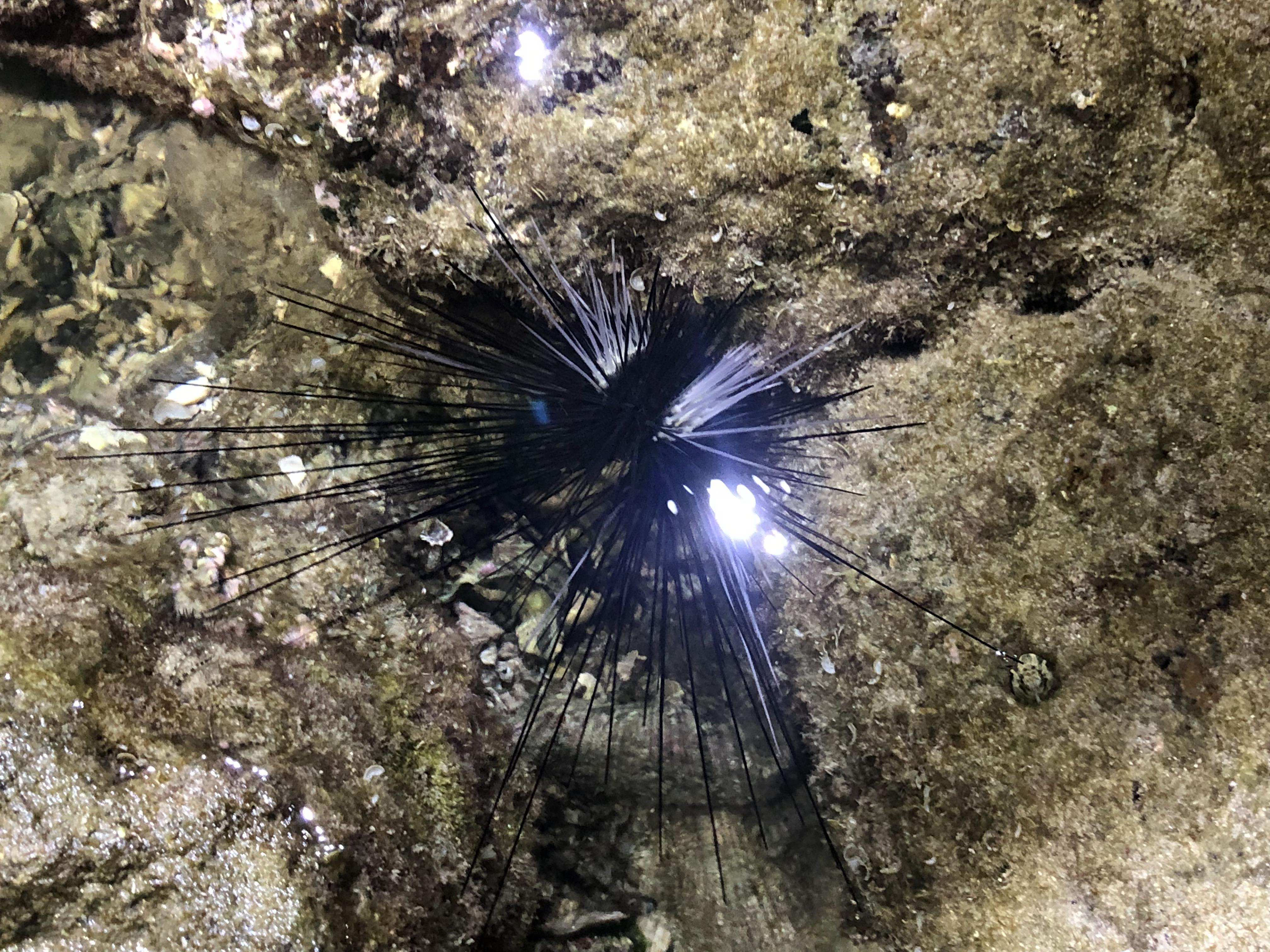 台湾8天7夜环岛行散记,台湾15天自由行攻略