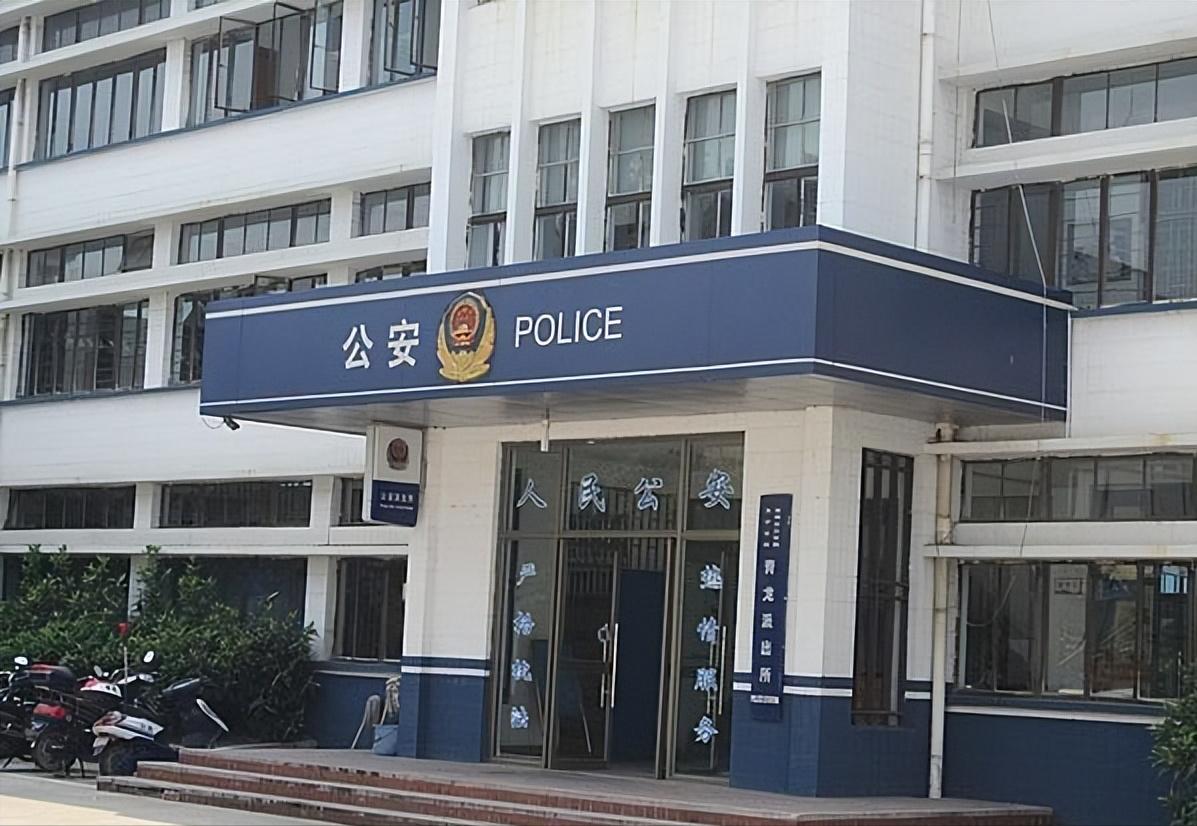 海南巨蟒为报恩甘愿当保姆,两名男子救下巨蟒