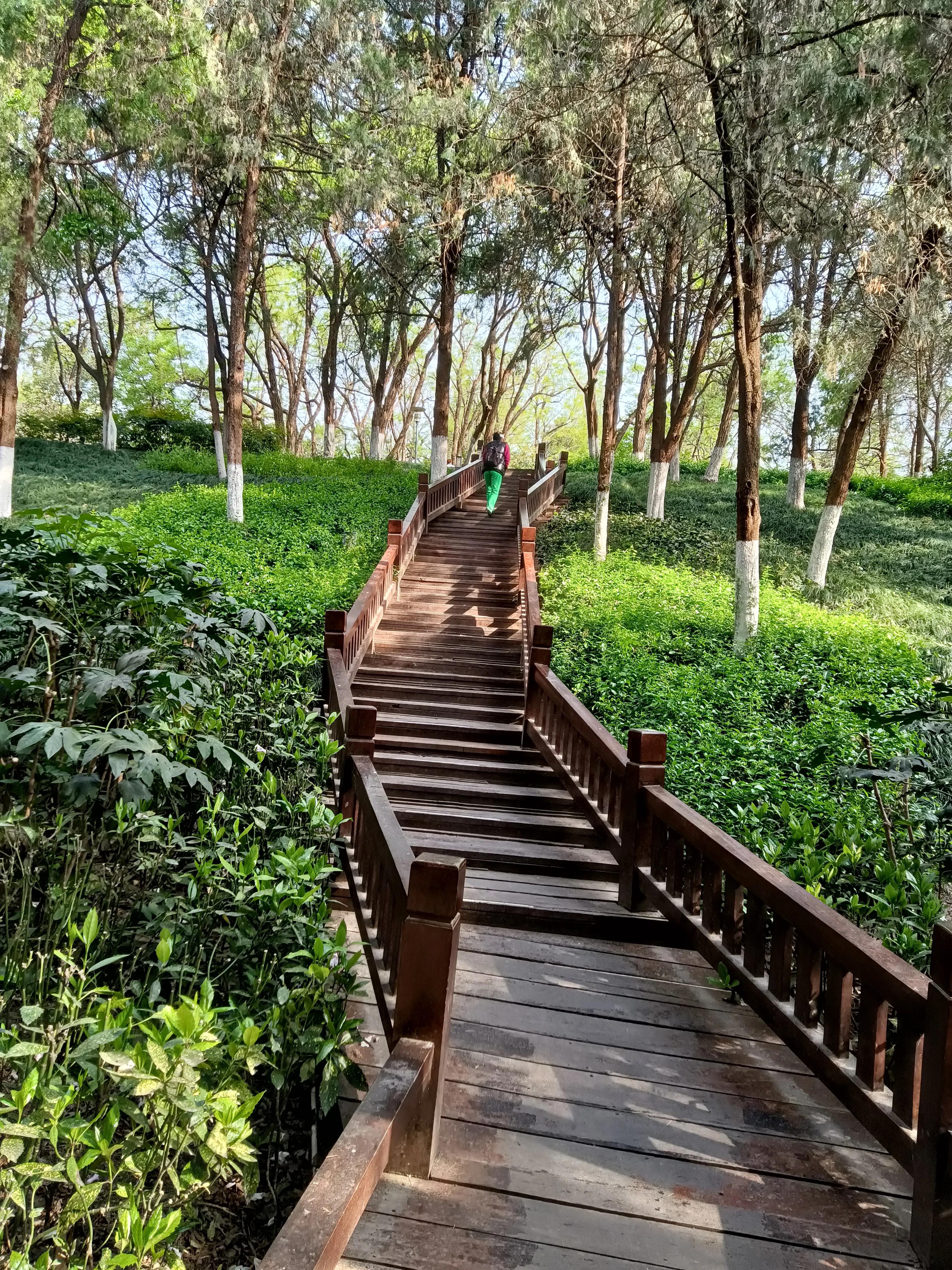 落英缤纷文章,有感于的意思