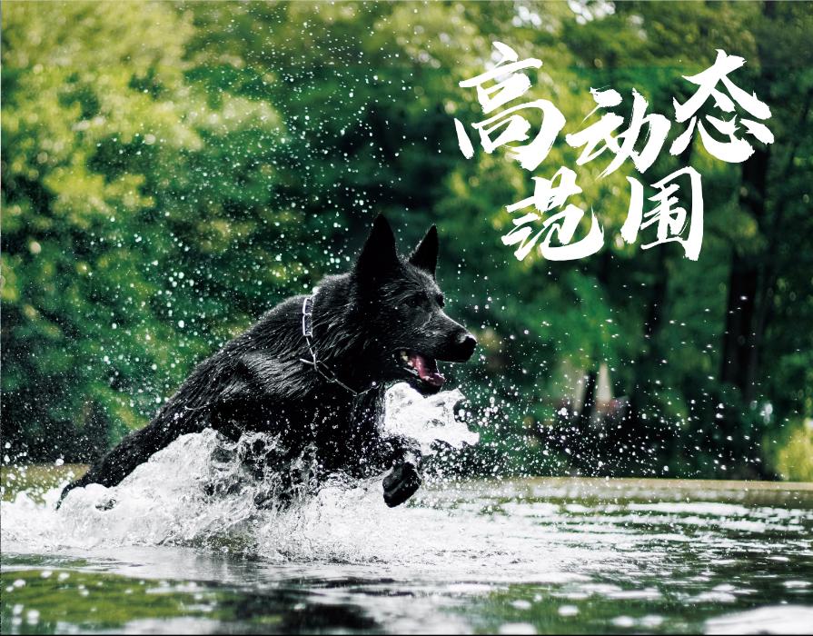 阿凡达2哪种影厅观影效果最好,阿凡达2厦门最佳观影影院