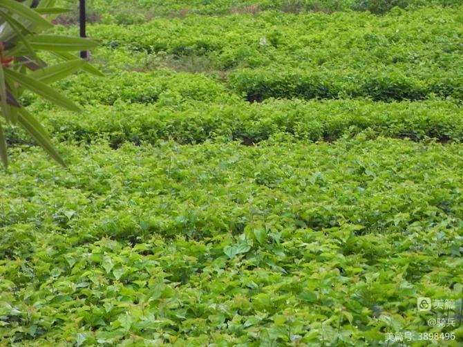 桂湘粤三省骑行交流,广西柳州三江自驾游视频