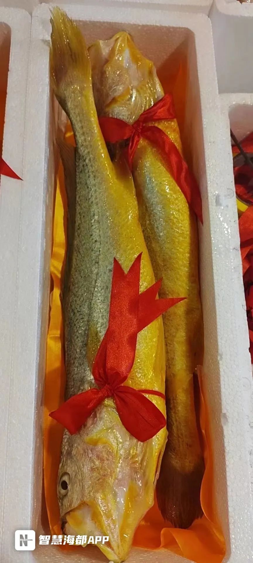 定了！马上开始！