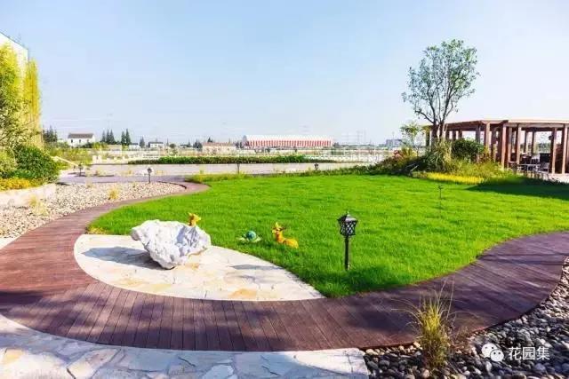 11月乔木灌木草坪病虫害用药,草坪病虫害怎么防治