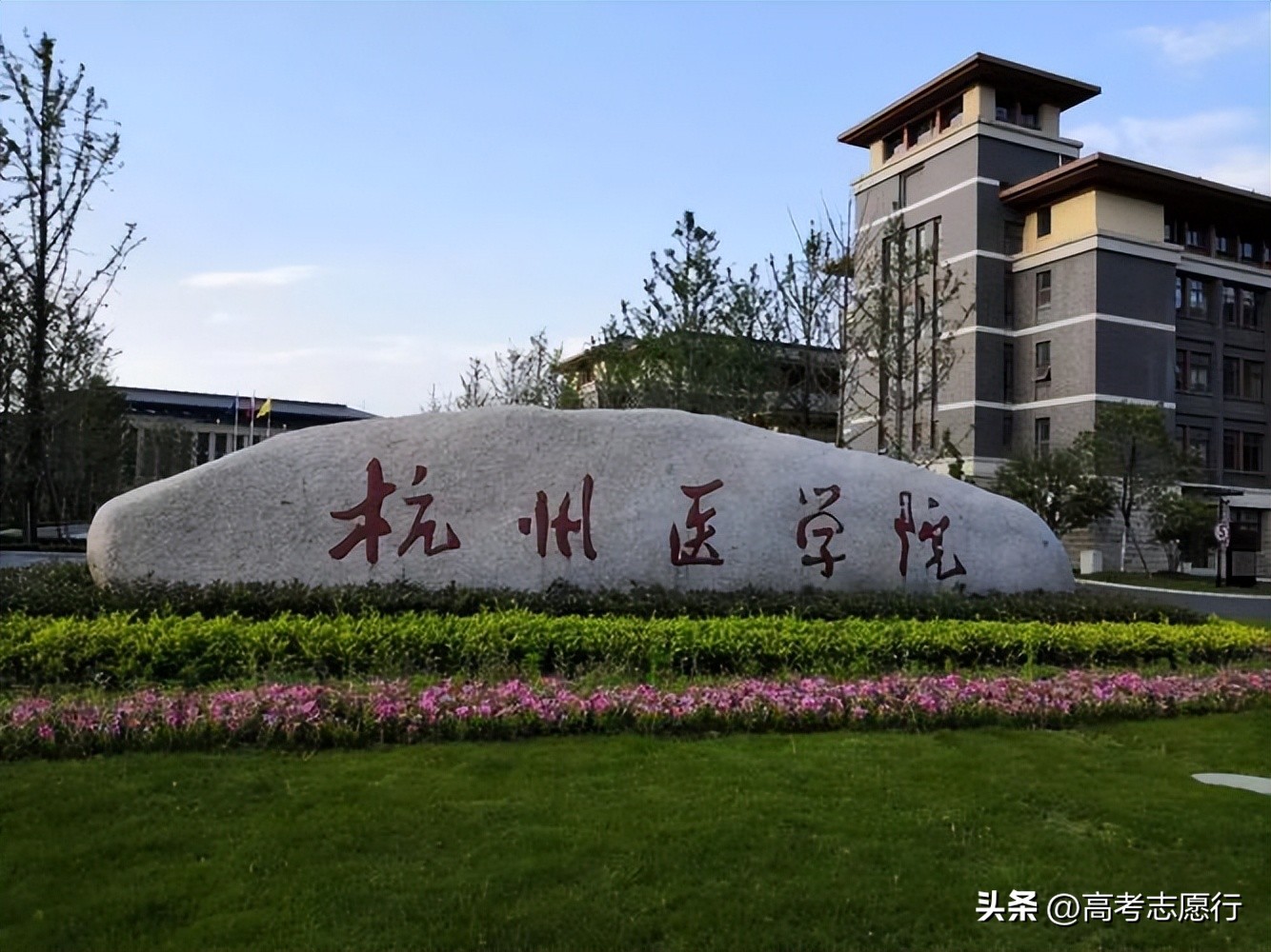 医学院历史悠久,近年创办的医学院