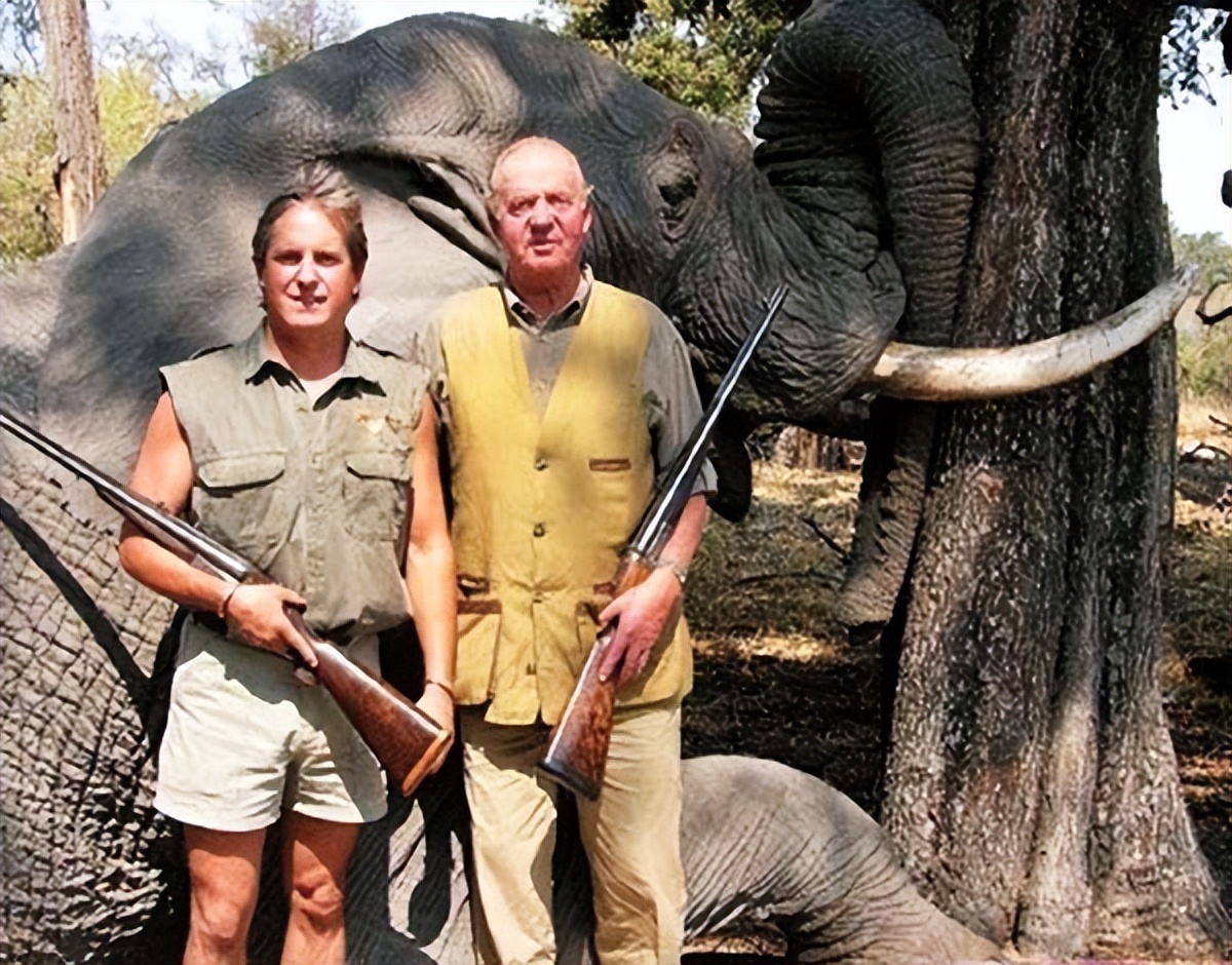 西班牙老国王近况,西班牙老国王事件