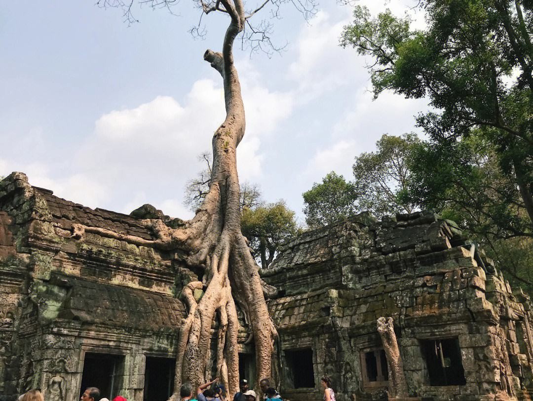 柬埔寨吴哥窟是世界七大奇迹吗,柬埔寨吴哥窟历史上被荒废的原因