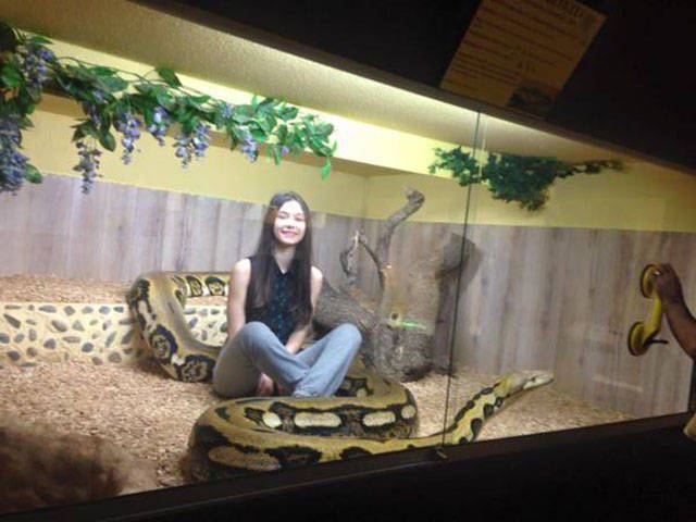 100个难得一见的照片,106个难得一见的照片