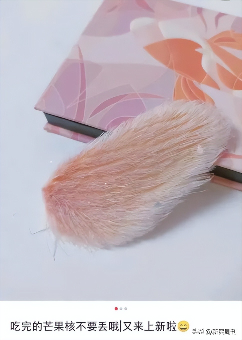 芒果核为啥要梳毛,给芒果核梳毛染发