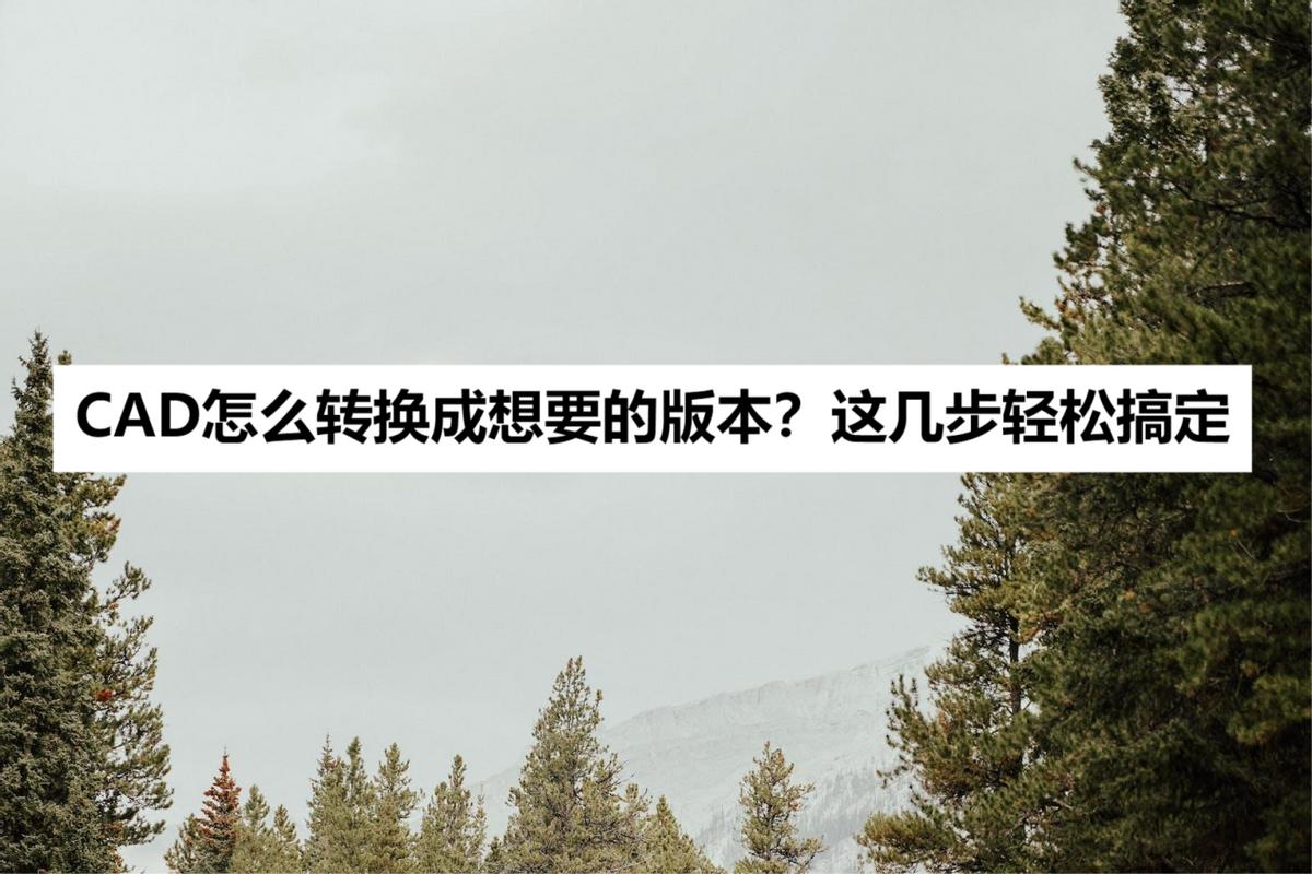 cad高版本打不开怎么转换成低版本,cad新版本如何转换成老版本