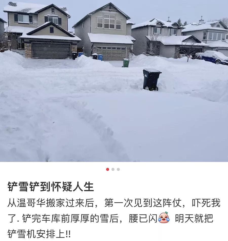 多伦多-20℃喜提2年最低温！今年加拿大天气太迷了