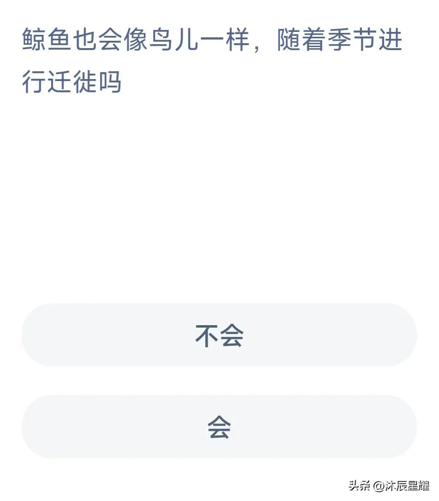 支付宝每日一题今日答案,支付宝答案每日更新