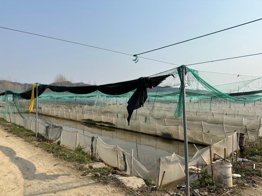 蛙声一片念出致富经