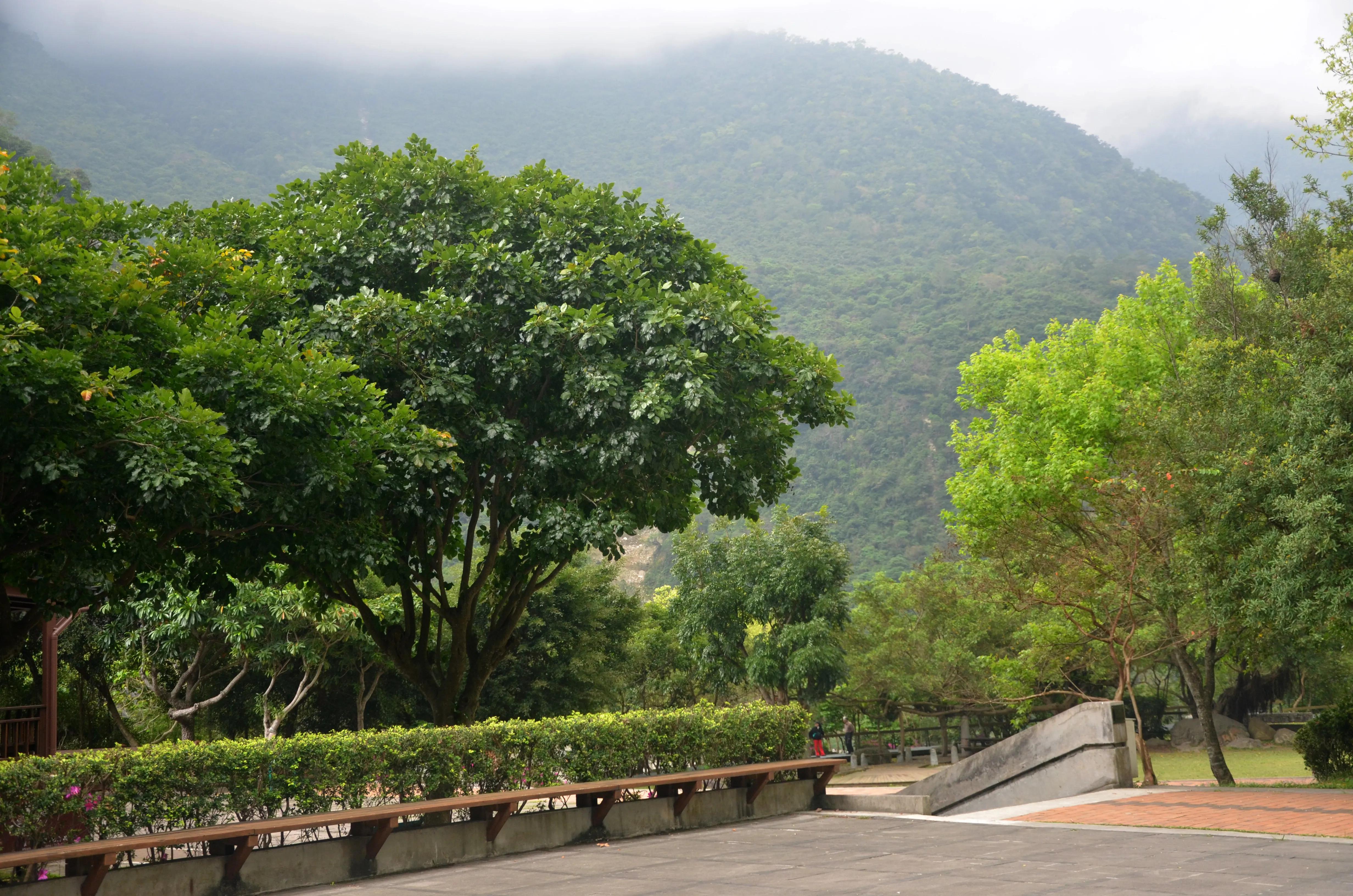 台湾太鲁阁大峡谷绝美风景,台湾太鲁阁大峡谷