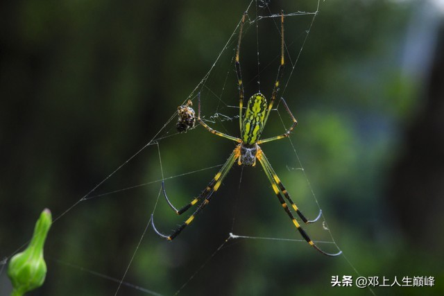 美国到底打赢了恐怖组织吗,美国什么时候认定基地是恐怖组织