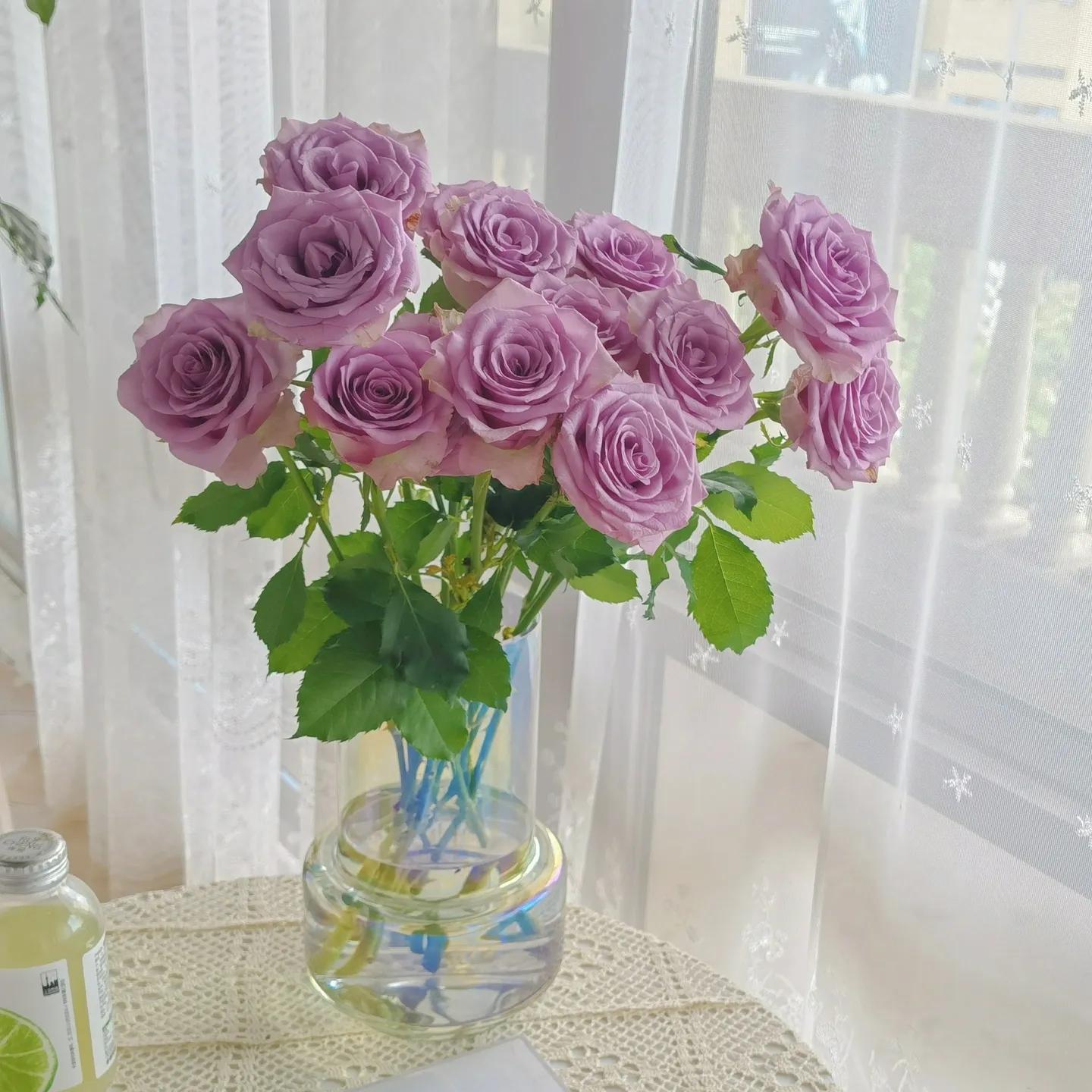 浪漫玫瑰爱情,爱情花朵红玫瑰