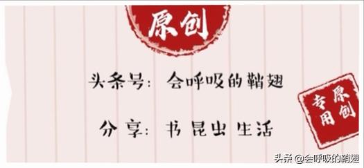 螳螂养殖报告,螳螂饲养观察记录表