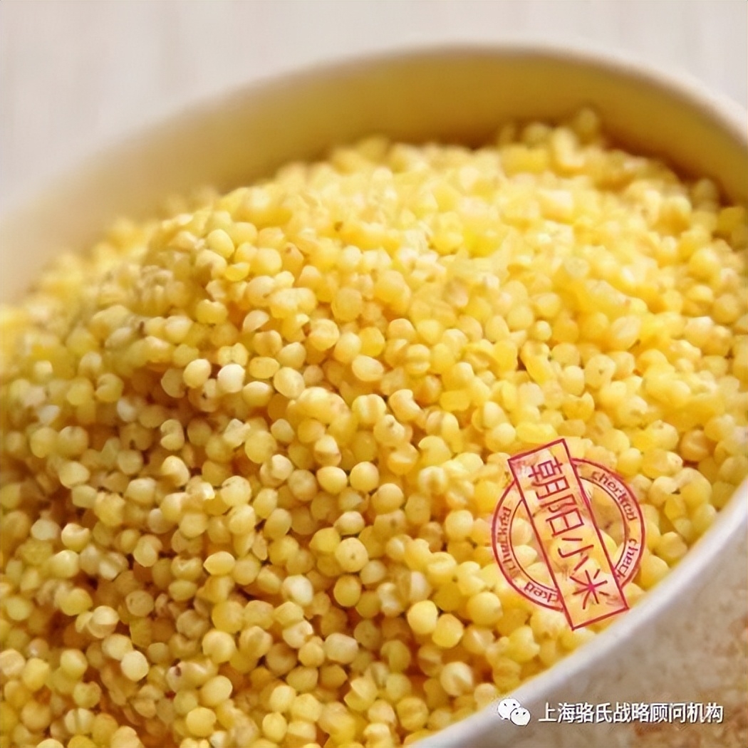 朝阳市区推荐,城市评语