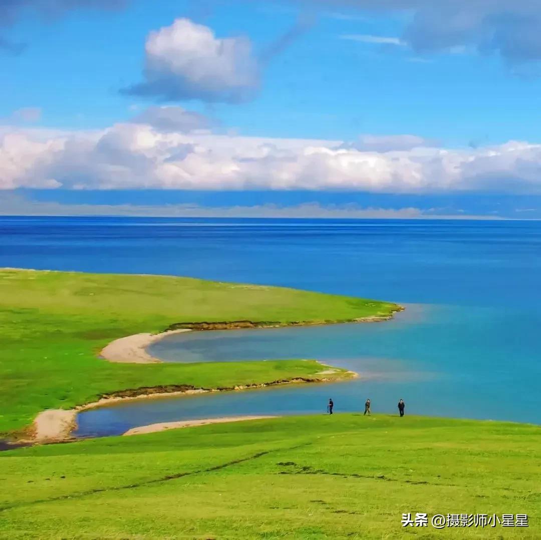 夏天绿色之美,夏天的绿色之美