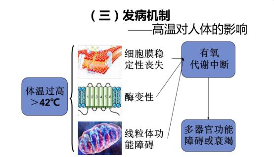 热射病是中暑最严重的一种吗,热射病和中暑是一回事吗