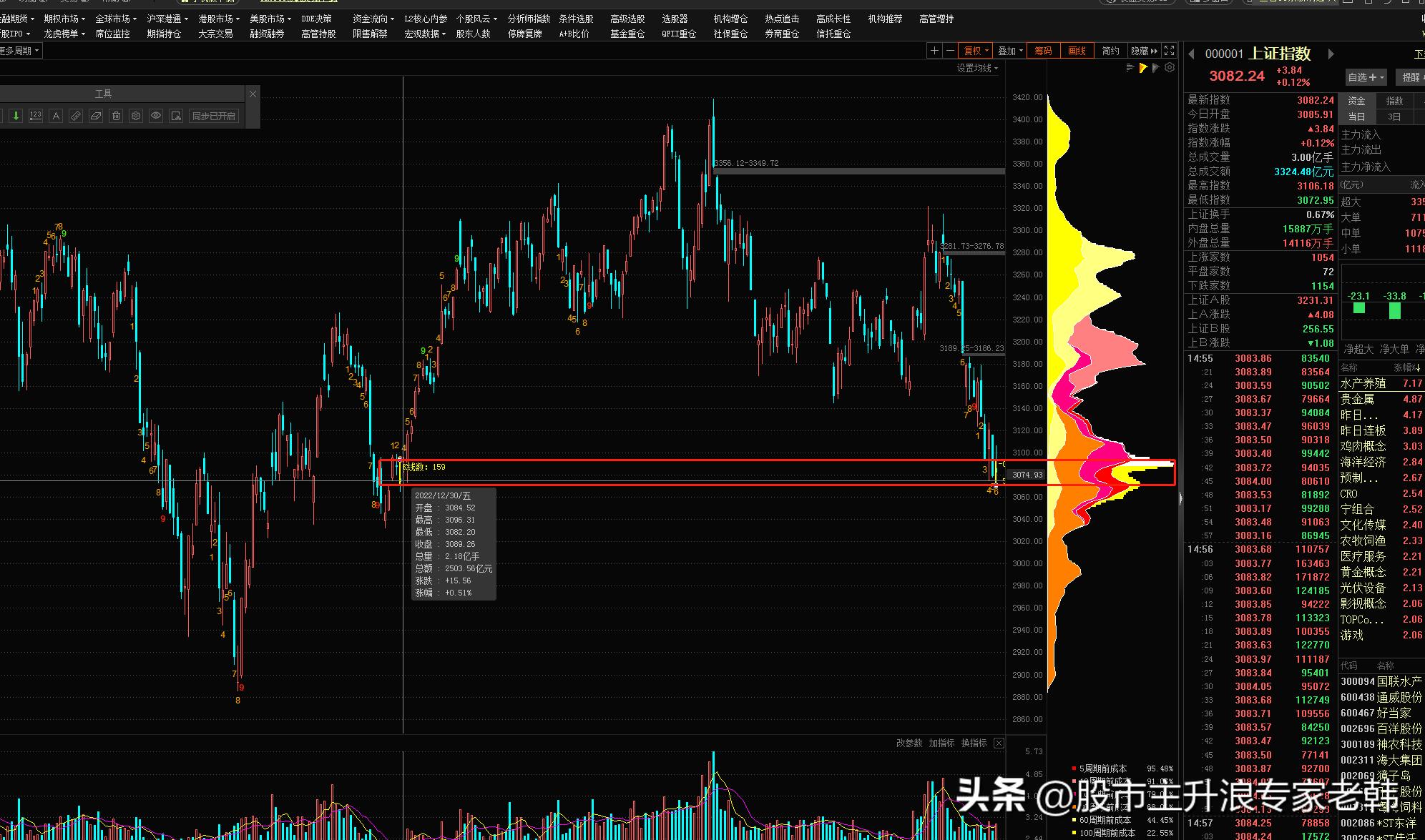 股市操盘秘籍详解,股市技术分析实战技法经典网盘