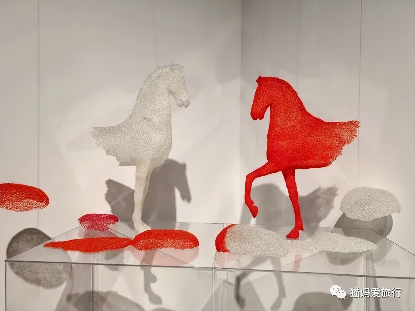 5天“趣”玩青岛，我的私藏遛娃路线