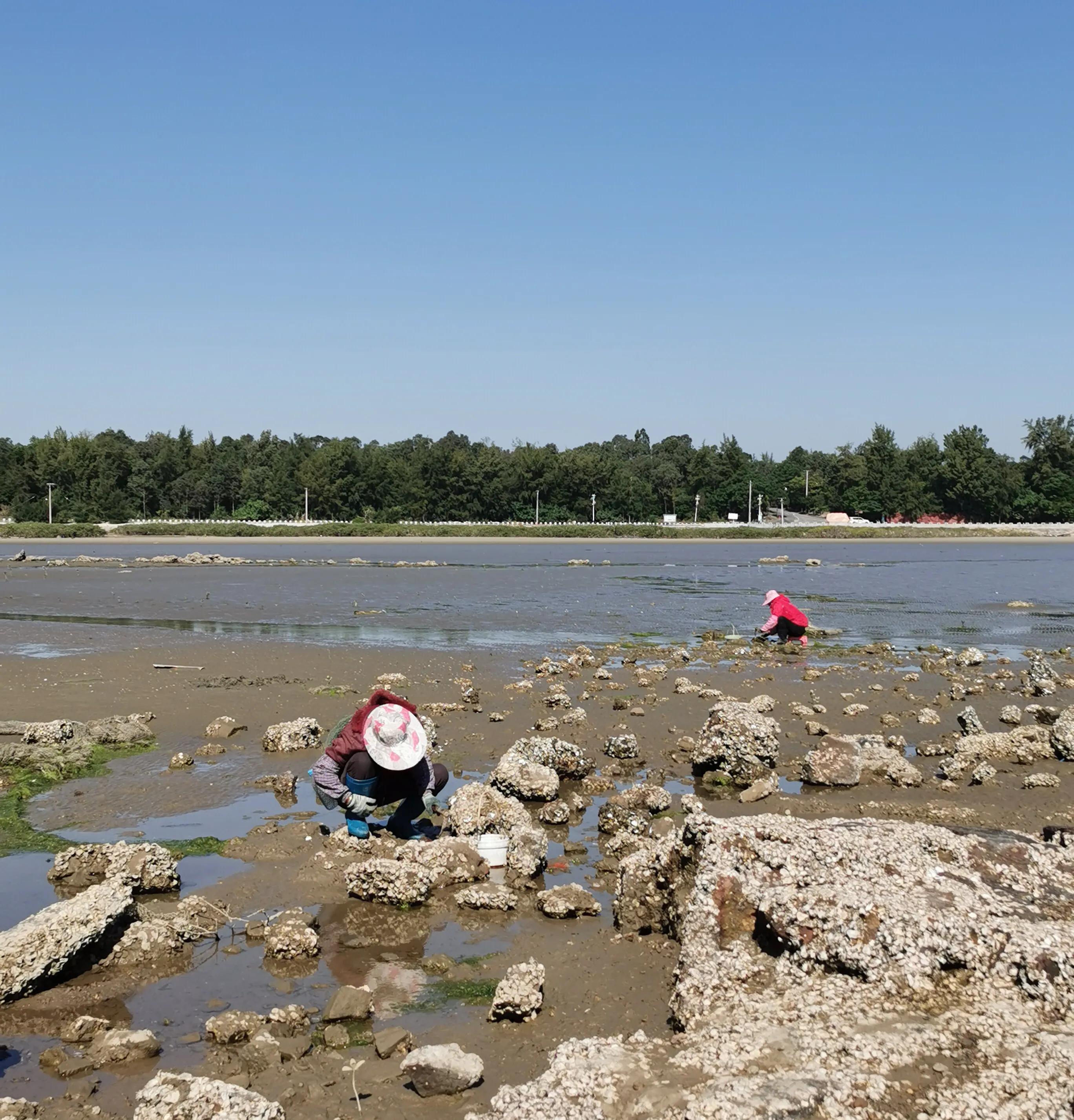 手拍世界近期作品,手拍世界完整版视频