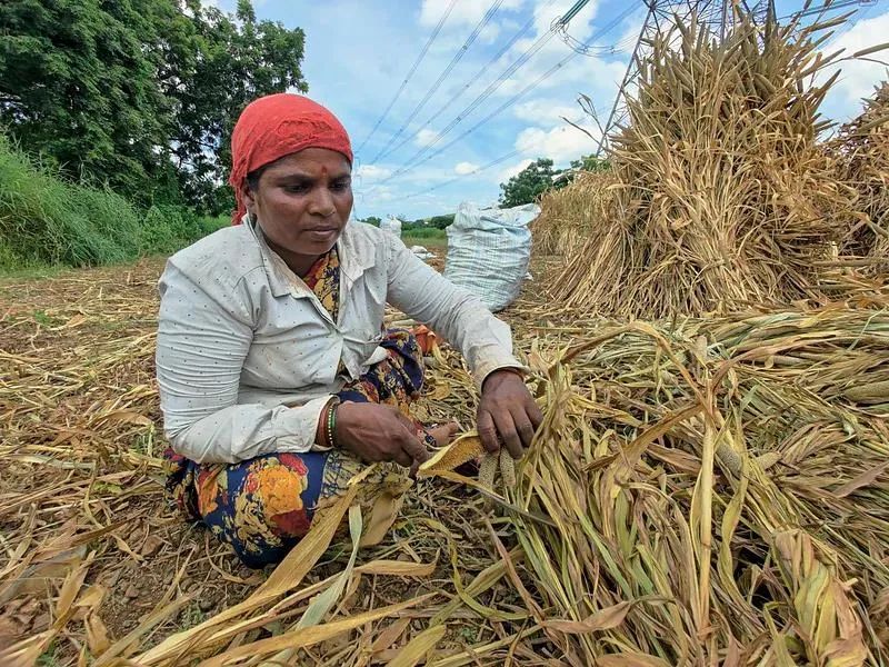 为了一份工作，这个地区六分之一的女性选择了切除子宫……