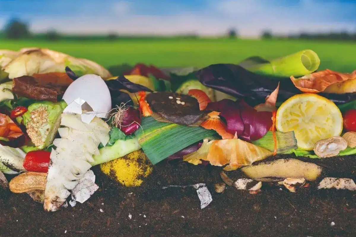 引人不适的蟑螂,让人细思极恐的蟑螂