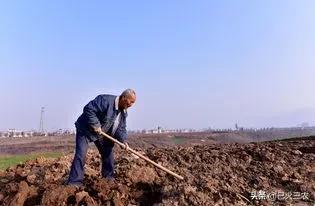 农村耕地回收政策,国家回收耕地多少钱