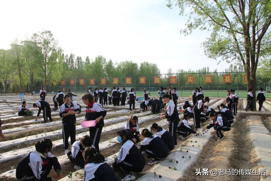 靖远四中校园图片,靖远四中校园风景