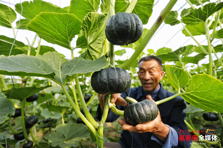 实现乡村振兴良好开局新闻,谱写乡村全面振兴新篇章新闻