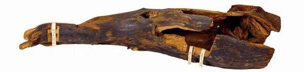 揭开天下第一名香兰奢待神秘面纱