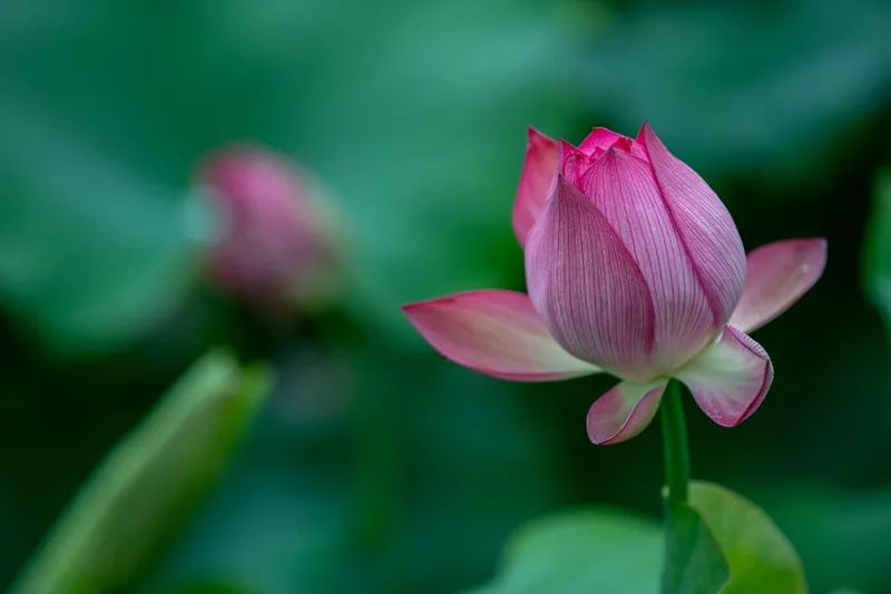 泸州一天的游玩攻略,泸州假期去哪里玩