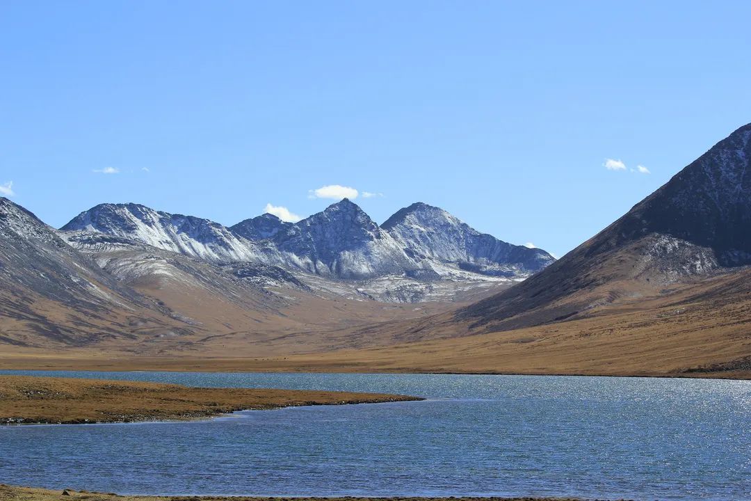 风中传来的气息,风中传来了苦咸的气息