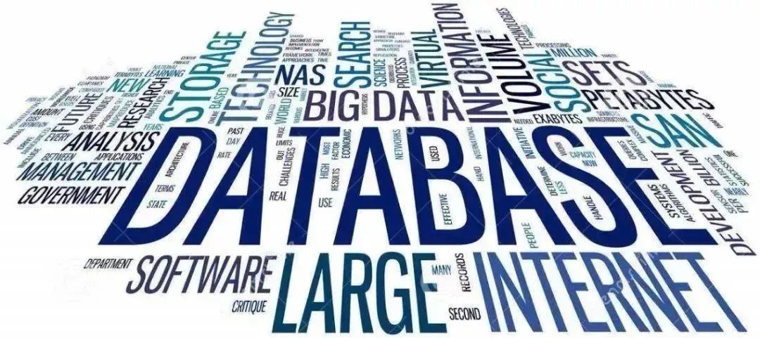 王鑫|面向数据库的开放游戏——以“安价/安科”为例