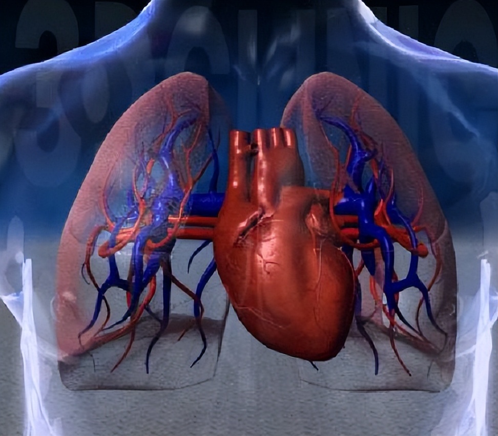 老年人还可以拥有幸福生活,80岁老人有生活质量吗