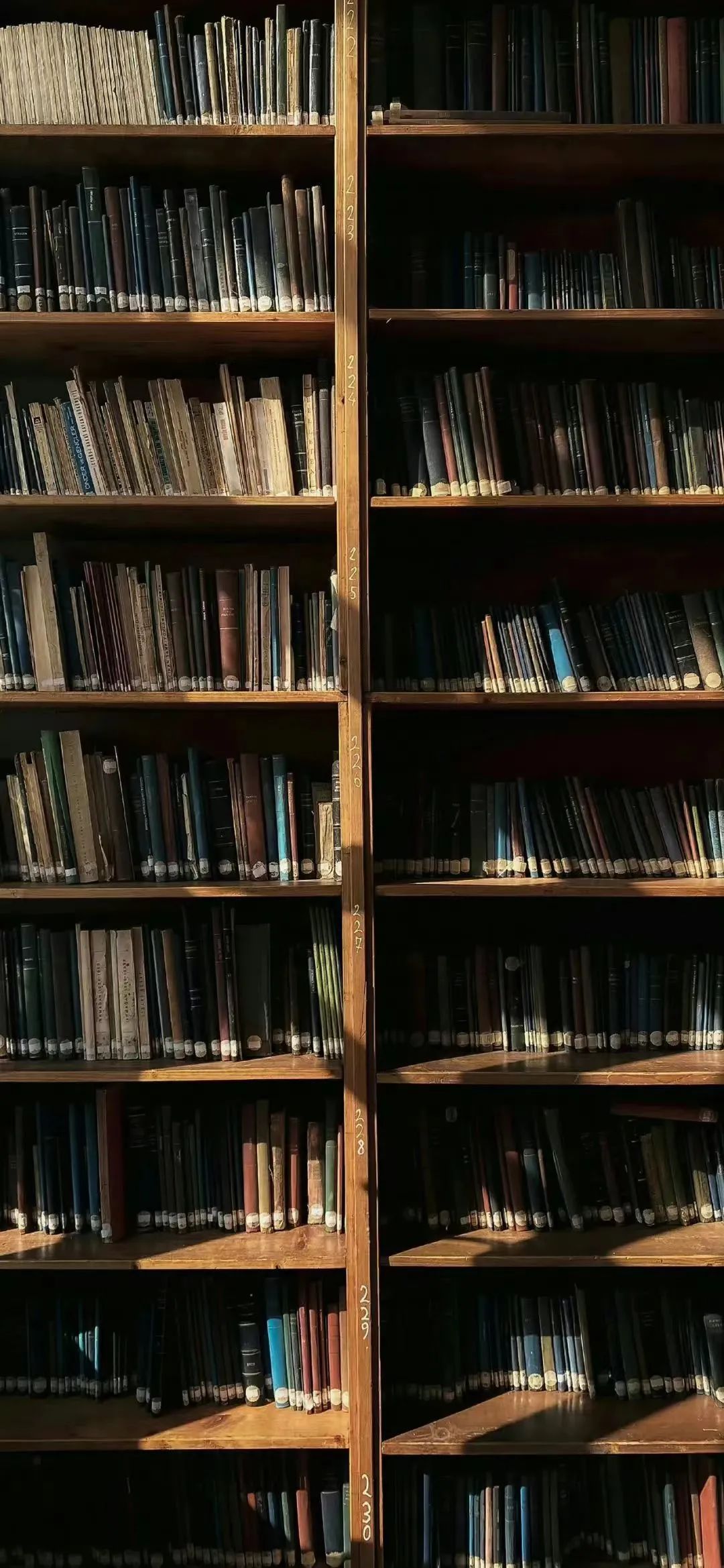 灏忓竷鎽勫奖鍥㈤槦,灏忓竷鎽勫奖