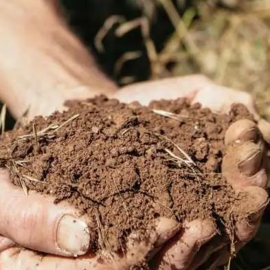 小众之美|AltoAdigeDOC上阿迪杰