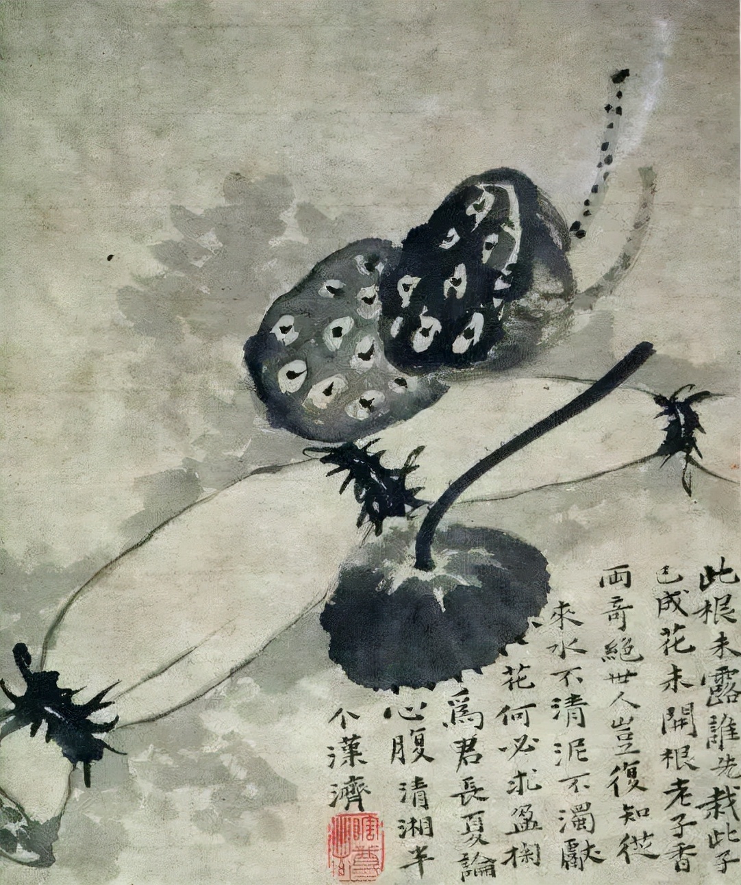 清代九大名家花鸟册页欣赏,清朝九大名家花鸟山水图