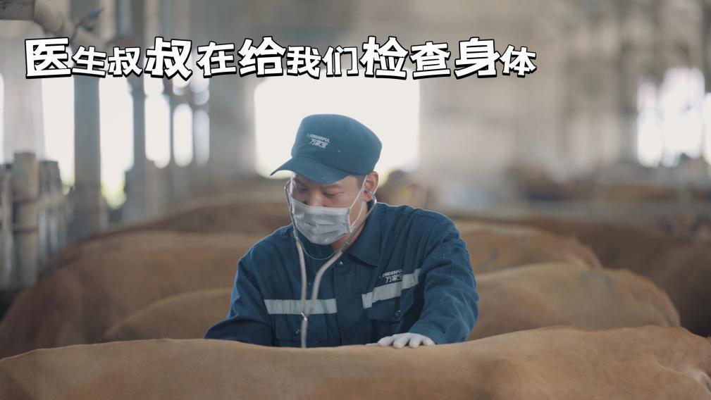 万家宝娟姗牛的自我介绍