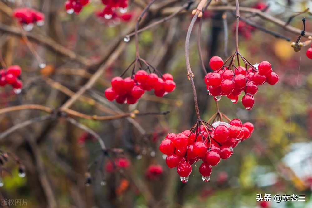 女作家去做保姆528,女作家去做保姆最新篇528