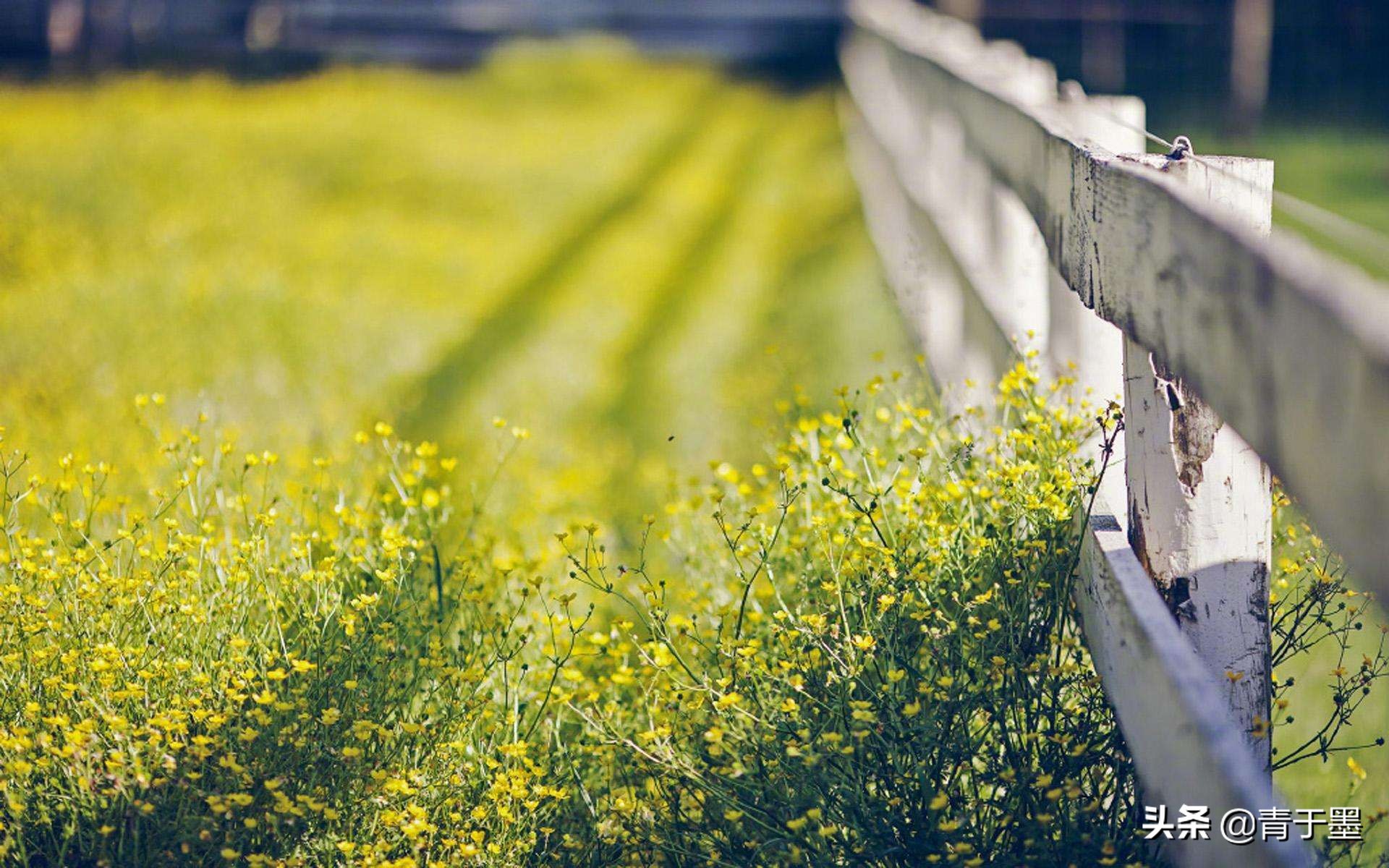 活着余华最经典的十句话,活着余华对人生的感悟