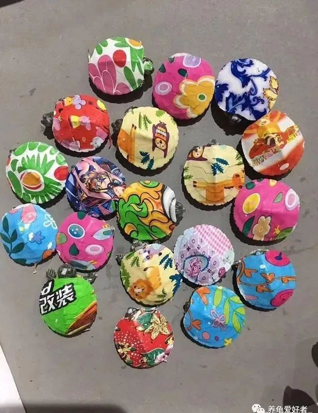 外面巴西龟泛滥，在家养就得多数*天升**？是何道理？